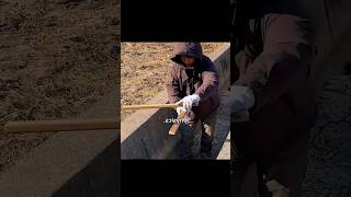 Este es el mejor invento de la historia