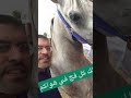 أخاطر في محبتكم بروحي إلقاء نزار رمضان أخاطر في محبتكم بروحي إلقاء نزار رمضان