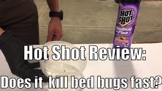 Hot Shot Review: Does it work to kill bed bugs?