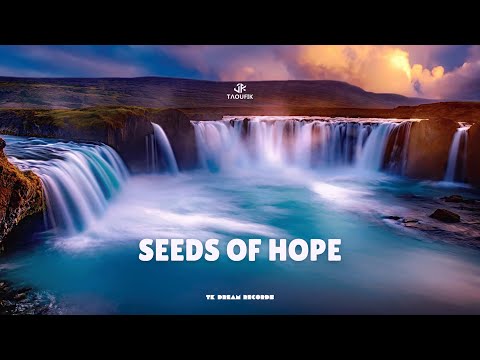 Taoufik - Seeds Of Hope (Official Music 2024)