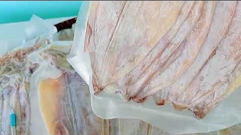 Mực Khô 6-8 Con/ Kg - Hải Sản Mỹ Tâm Phan Thiết 0367996390