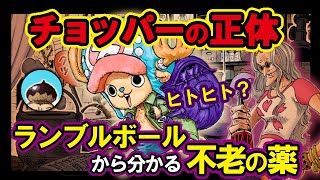 チョッパーの正体 ランブルボールから分かる不老の薬 ワンピース考察 Youtube