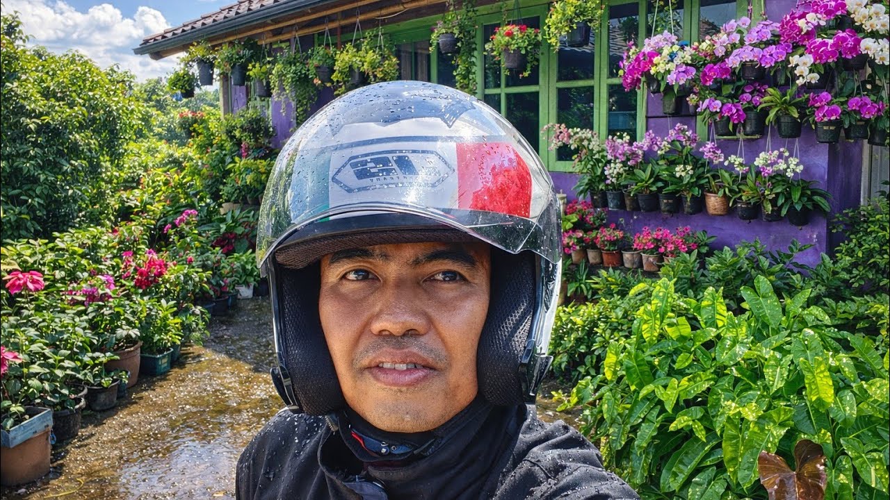 GREBEK RUMAH FULL TANHIAS MUMBYUK MUMBYUK BIKIN BETAH PUASA DISUGUHI TANHIAS IJO ROYO-ROYO 