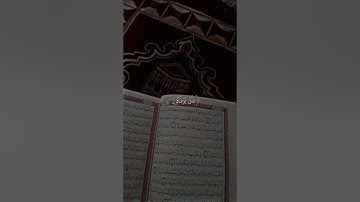 أكتب شيء تؤجر عليه #quran #اكسبلور #المصحف #قرآن #قران_كريم #راحة_نفسية #ياسر_الدوسري #سورة_العنكبوت