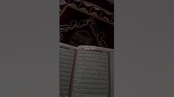 أكتب شيء تؤجر عليه #quran #اكسبلور #المصحف #قرآن #قران_كريم #راحة_نفسية #ياسر_الدوسري #سورة_العنكبوت