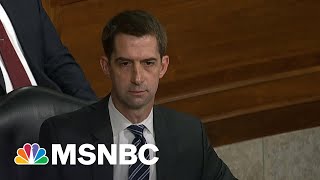 Tom Cotton Lectures DOJ Civil Rights Division Nominee Kristen Clarke On Race | The ReidOut | MSNBC