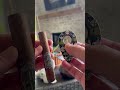  savoring the flavors enjoying a tasty free will robusto cigar on a sunny day  cigar asmr