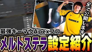 【13選】世界大会常連キーマウプロ メルトステラの設定等を一挙公開!【メルトステラ/APEX/RIDDLE ORDER】