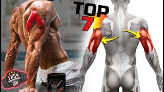 7 TOP BEST EXERCISES TO DEVELOP TRICEPS Build big ARMS  TRICEPS