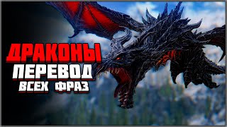 Skyrim ٠ Драконы - Перевод Всех Фраз в Skyrim | Часть 1/2