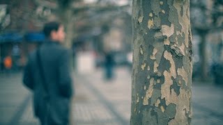 Photography Basics Tutorial: Selective Focus