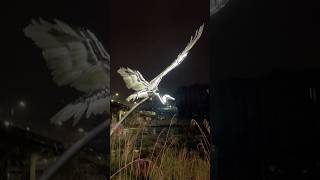 The Durham Heron