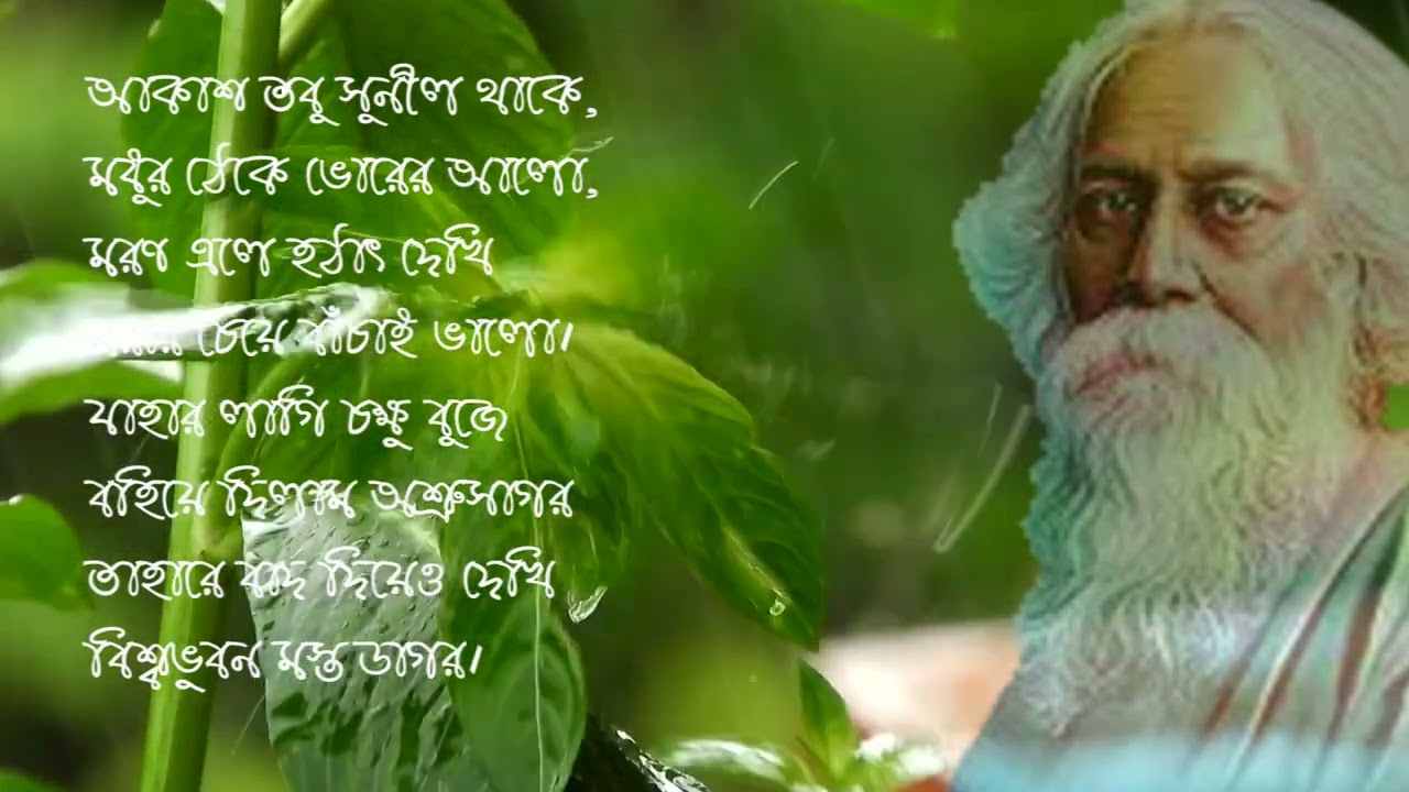 BOJHAPORA PART 3 | আকাশ তবু সুনীল থাকে | Bojhapora kobita rabindranath  thakur lyrics | Bird Song