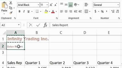 Copy Cell Formats in Excel 2013