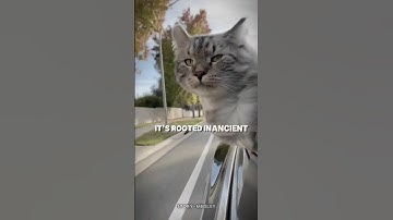 Simulation Theory: Are We Living in a Programmed Universe? #universe #realitytheory