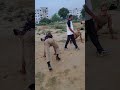 FS University shikohabad all NCC cadets strong#ot#training#physical#practice#SD,SW#cadets#motivation