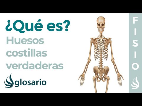 Video: ¿Para qué sirve la costilla?