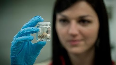 UA Forensic Anthropologist Researching Effects of Opioid Use on Bones