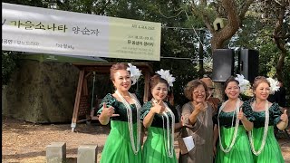 [ 제주도 ] 저지문화예술인마을 - 매생이 갤러리