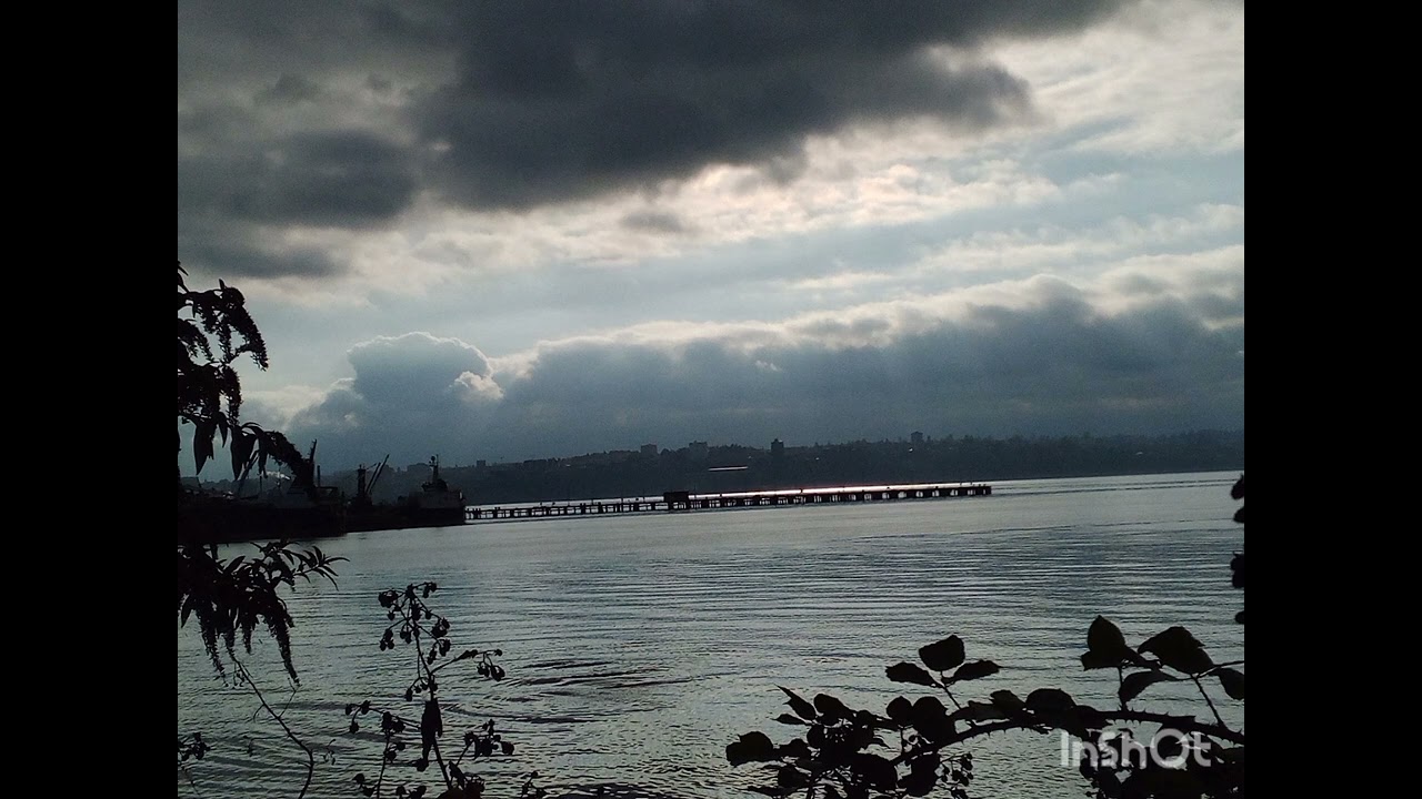 "Overly Busy Myx of Things" It's an O.k. Type Beat prod.vicherman253tac