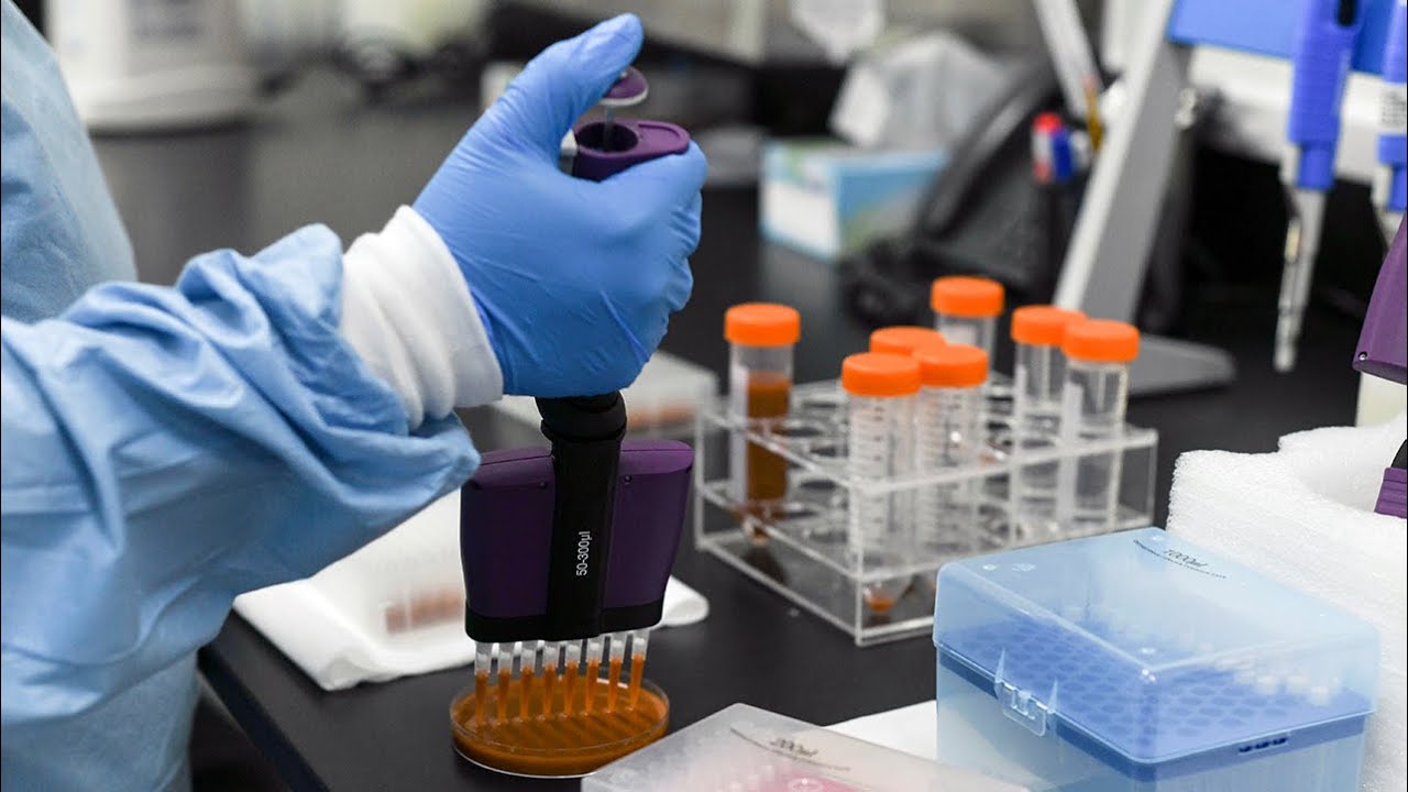 Virtual Roundtable: Preparing Democracies for Pandemics | Council on  Foreign Relations