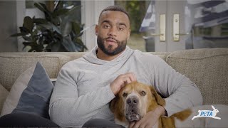 N.y. Jets Star Defensive Lineman Tackles The Issue Of Chained Dogs With Peta