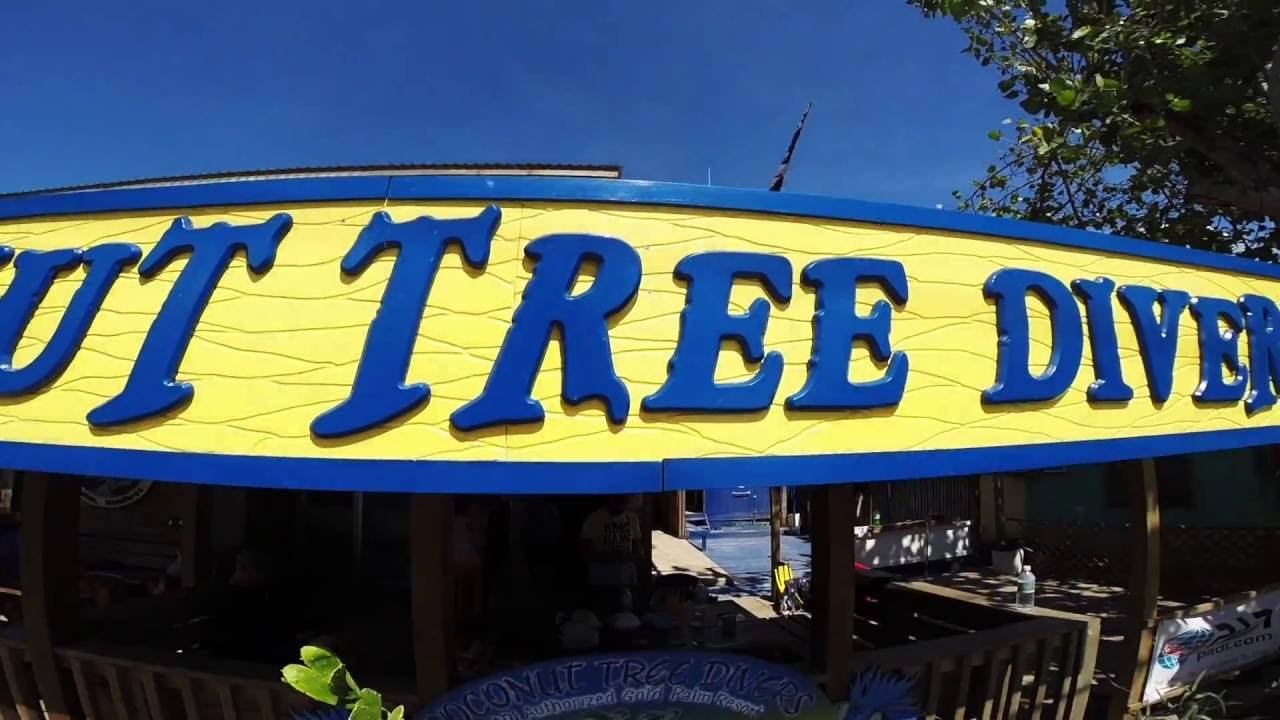 Diving Roatan Open Water Scuba Diving Course at Coconut Tree Divers