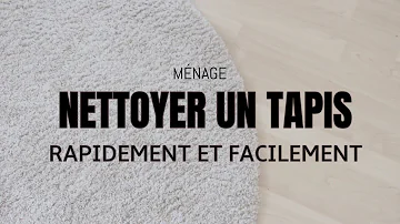 Comment brosser un tapis à poil long ?