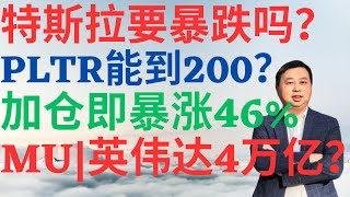 美股1020|美股创新高?PLTR能到200吗?加仓即暴涨45%!MU财报分析,英伟达马上4万亿?特斯拉要暴跌吗? #tsla #nvda #pltr #oscr #mu #美股分析