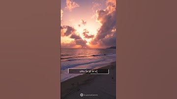 فَلَا تَعْجَلْ عَلَيْهِمْ ۖ إِنَّمَا نَعُدُّ لَهُمْ عَدًّا ||سورة مريم|| بصوت القارئ عبدالرحمن مسعد
