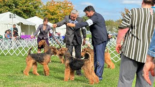 Hatboro Kennel Club day 1, Best of Breed competition Airedale Terriers by Sheila Tay Radcliffe 992 views 7 months ago 12 minutes, 18 seconds