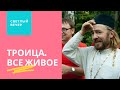 Фестиваль — Троица. Все живое. Светлый вечер с Александром Лыковым и Павлом Пиковским