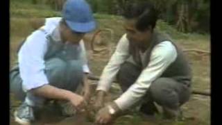 TVB Jade Ident 無綫電視翡翠台台徽  1985 logo 7  翡翠台台徽 北區