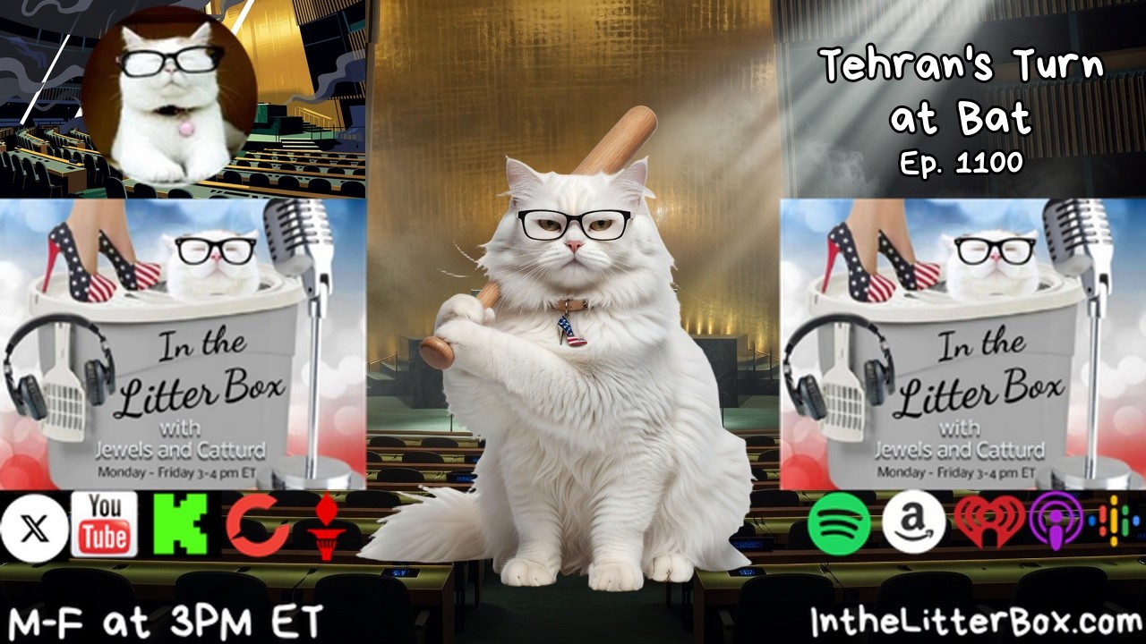 YouTube player