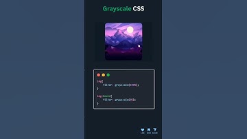 Grayscale Effect with CSS | Black & White Image Filter 🎨