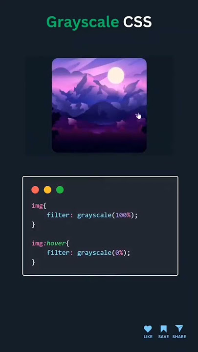 Grayscale Effect with CSS | Black & White Image Filter 🎨