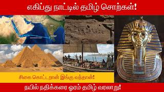 Tamil Script In Egypt Sigai Kotraan Supertalks Tamil News Tamil History Tamil Brahmi News