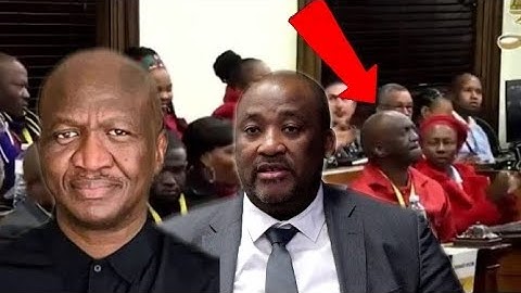 EFF Fana Mokoena Addresses Concerns With Gayton McKenzie