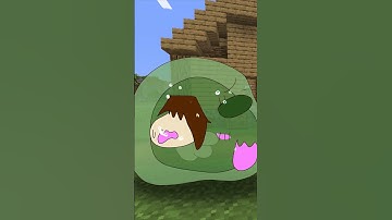 Steve has become fully human again. anthropomorphic  minecraft　#shorts #minecraft #animation