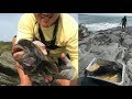 Blackfish (Tautog) Subscriber Contest Winner ... - YouTube