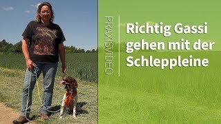 Gassi gehen ➡ Richtig Gassi gehen mit der Schleppleine ➡ Praxisvideo ✔