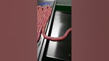 ZX-I  Automatic Sausage Linker  #saucefillingmachine  #machine