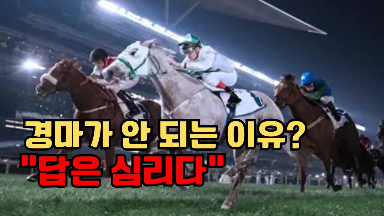 🔥경마 시즌1 제7강! 이길 수 없는 경마? 쏘스보다 중요한 건 '심리'