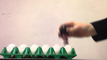 Manual egg flex HF1C