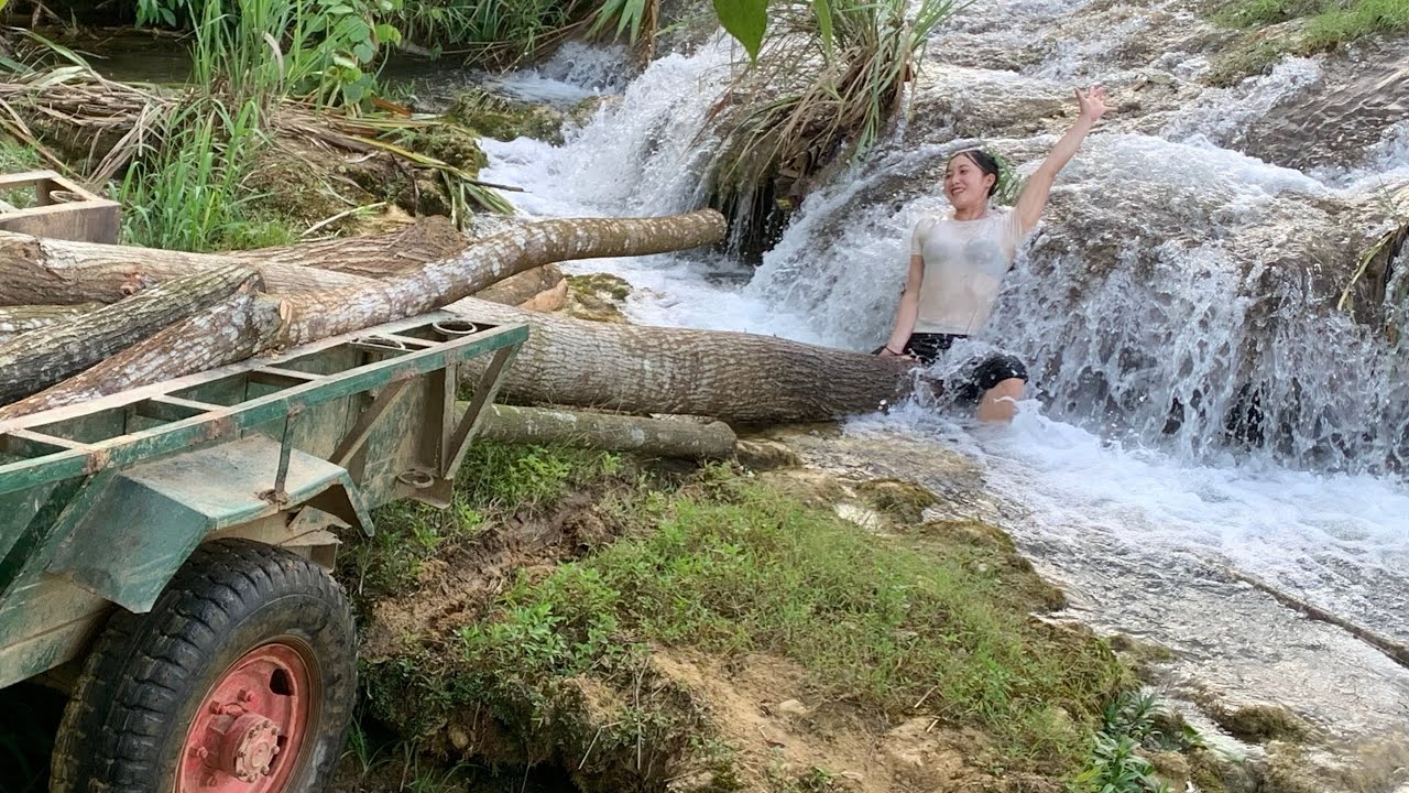 Agricultural vehicle transporting timber, pulling timber, almost crashed into a dangerous place.