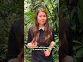 From Migraine Hell to Brain Bliss | My Nutrient-Rich Transformation | MigraKet
