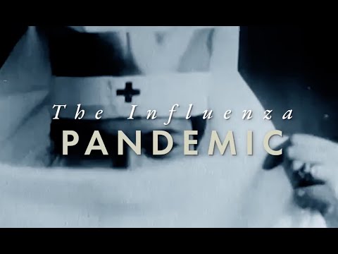 Video: Influenza epidemic and pandemic