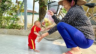 Bibi woke up obediently and waited for Grandma to buy breakfast!