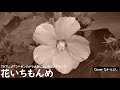 花いちもんめ/なぎらけんいち【うたスキ動画】