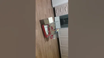Можно ли держать однополых шиншилл вместе?